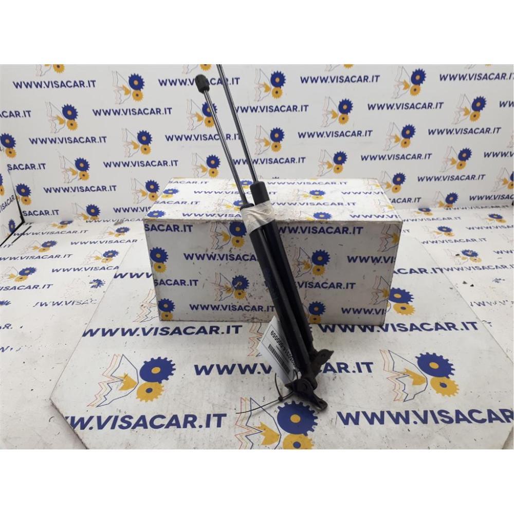 Pistoncini Ammortizzatore Portello Posteriore Usato Citroen C3 Aircross (2021)