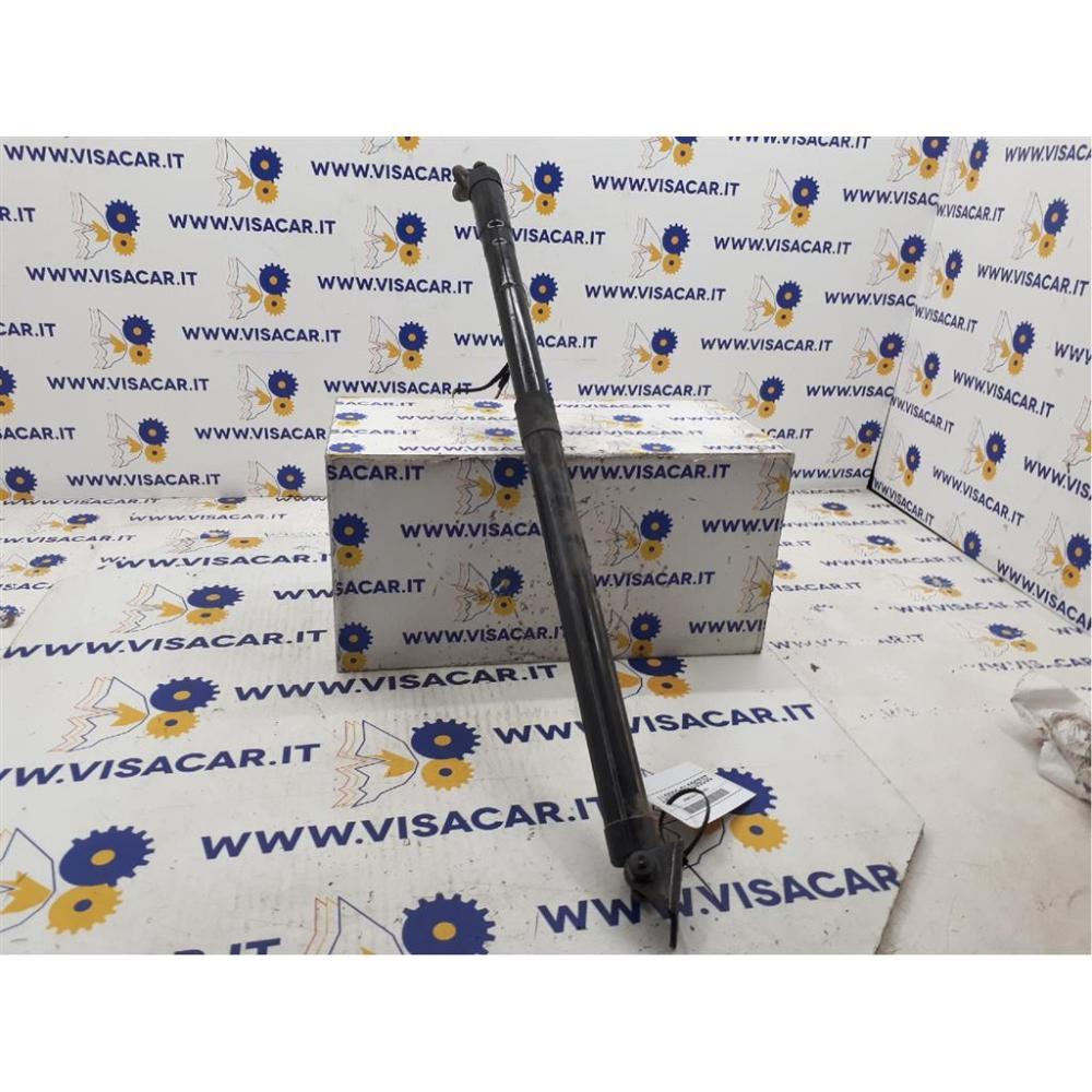 Pistoncini Ammortizzatore Portello Posteriore Usato Citroen C4 Grand Picasso «Ii» (2013)