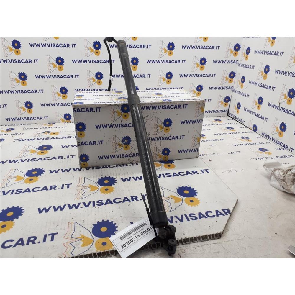 Pistoncini Ammortizzatore Portello Posteriore Usato Citroen C4 Grand Picasso «Ii» (2013)