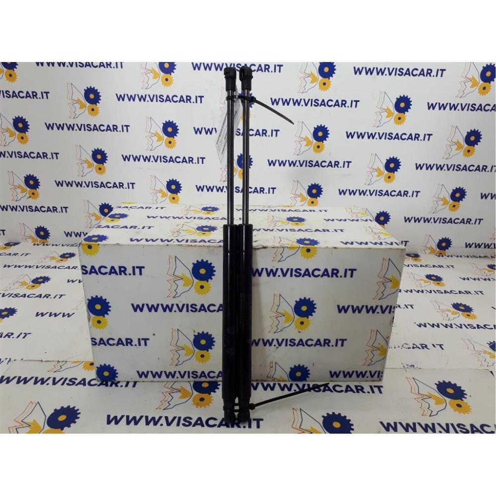Pistoncini Ammortizzatore Portello Posteriore Usato Dal 2011 Al 2017 Fiat Panda «Iii» (2012)