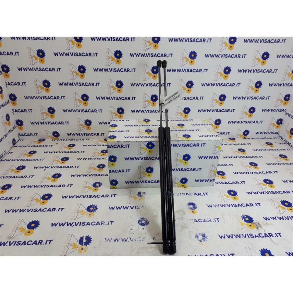 Pistoncini Ammortizzatore Portello Posteriore Usato Dal 2010 Al 2015 Ford C-Max «Iii» (2011)