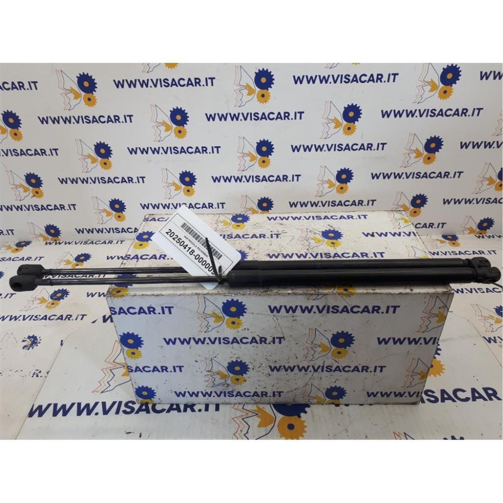 Pistoncini Ammortizzatore Portello Posteriore Usato Dal 2008 Al 2013 Ford Fiesta «Vi» (2008)