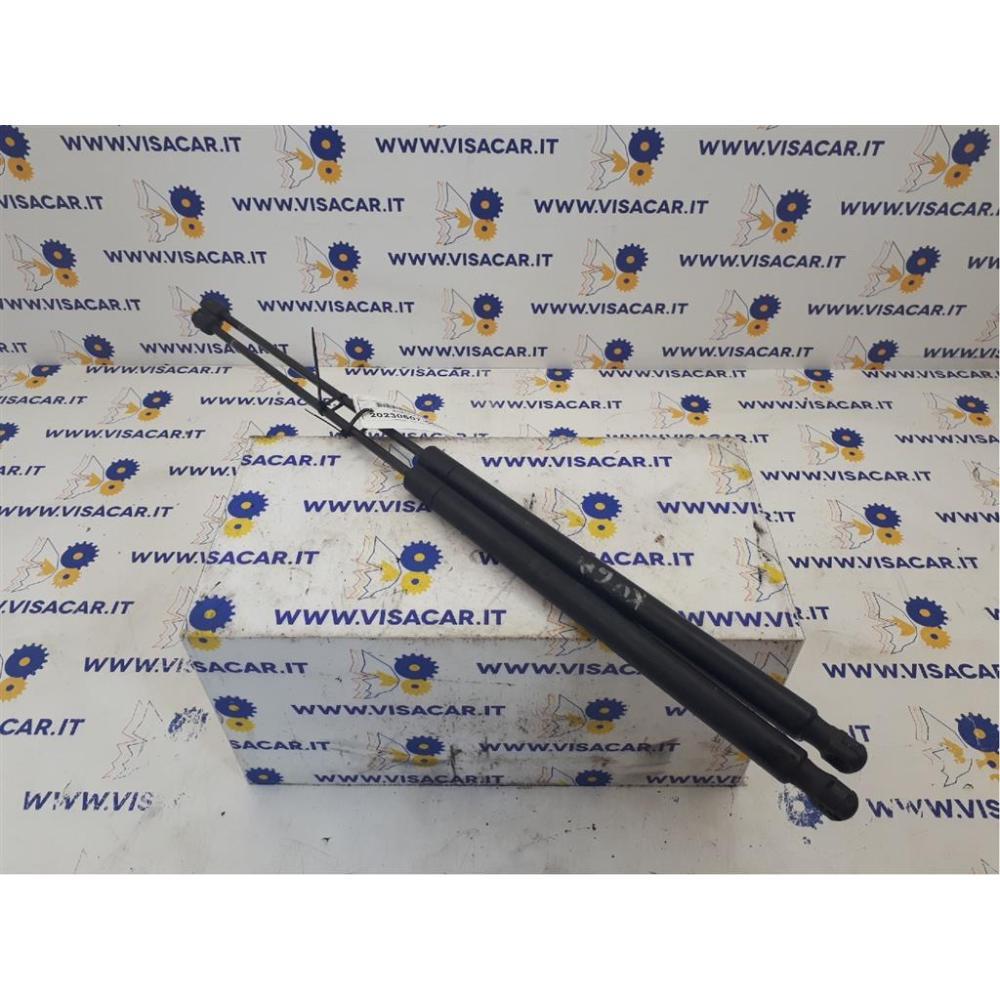 Pistoncini Ammortizzatore Portello Posteriore Usato Dal 2008 Ford Kuga «I» (2008)