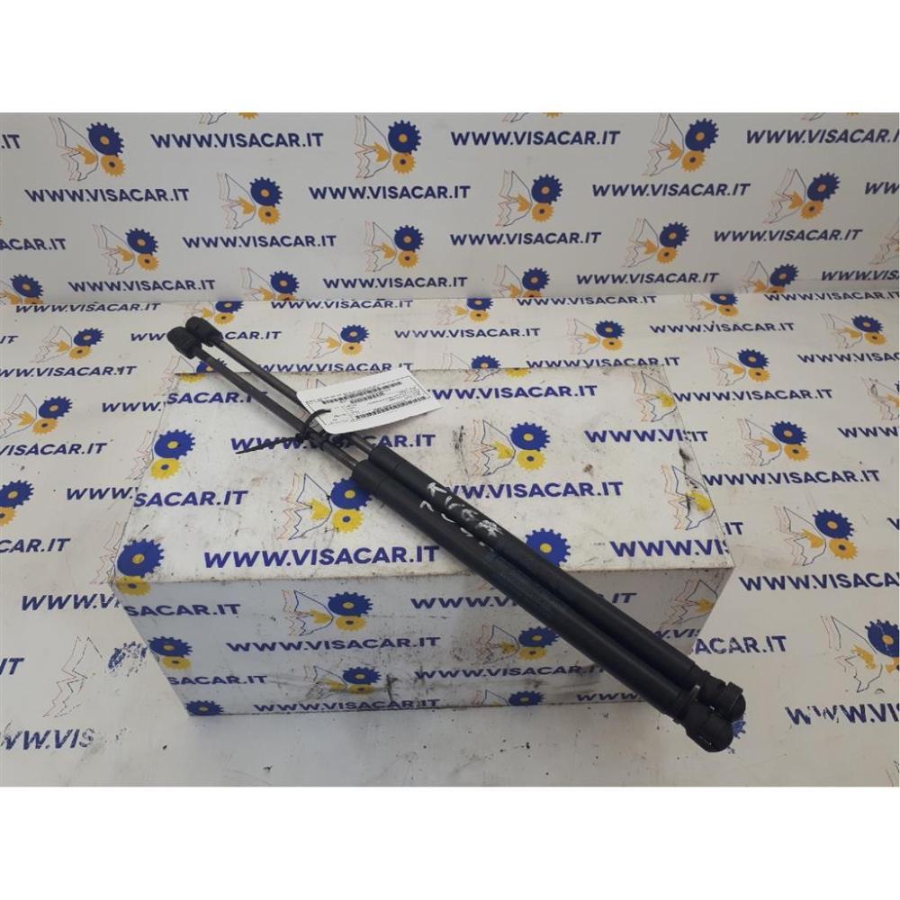 Pistoncini Ammortizzatore Portello Posteriore Usato Dal 2008 Ford Kuga «I» (2008)