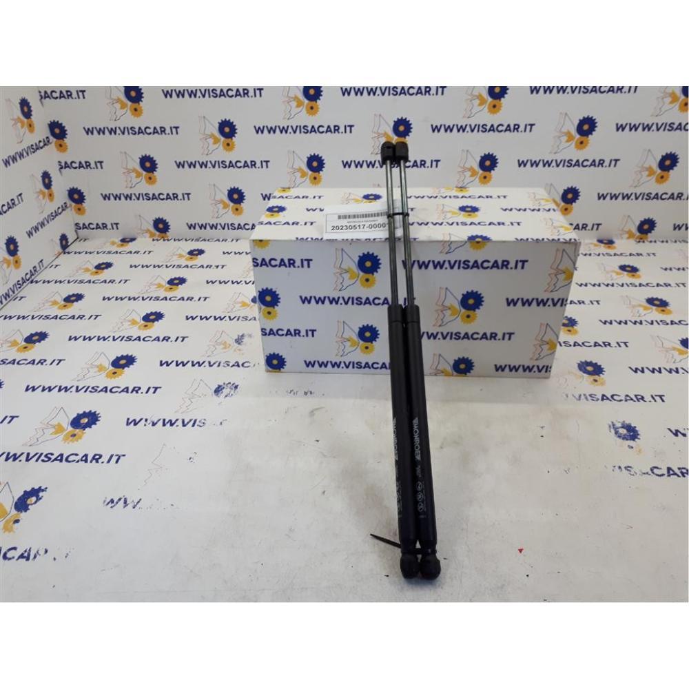 Pistoncini Ammortizzatore Portello Posteriore Usato Dal 2005 Al 2011 Suzuki Swift «Iv» (2005)